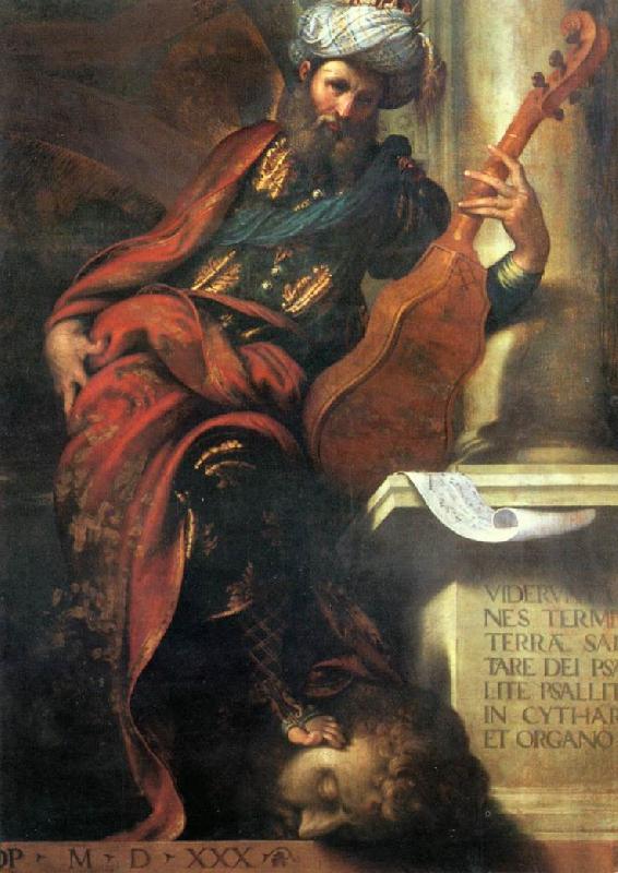 BOCCACCINO, Camillo The Prophet David oil painting picture